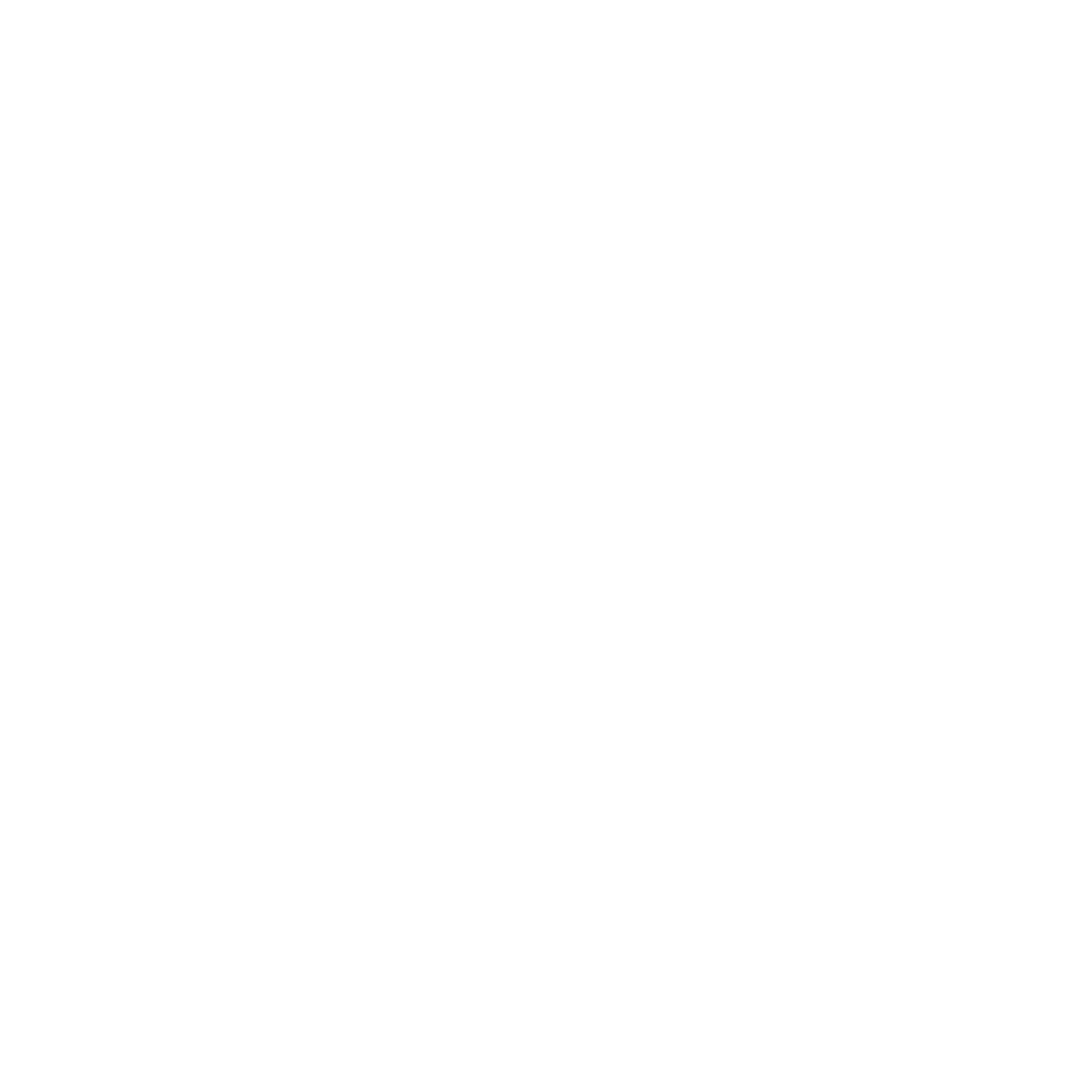 Envy Themes logo